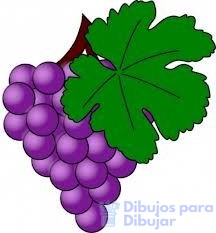fotos de uvas 2