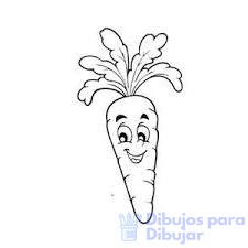 fotos de zanahorias