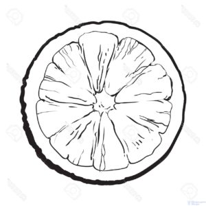 imagenes de naranjas para dibujar