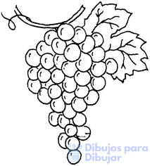 imagenes de racimos de uvas