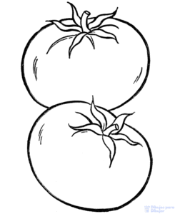 imagenes de tomates para dibujar