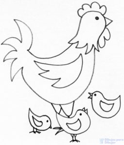 pollo para dibujar