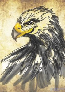 Aguila real dibujo