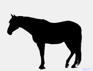Dibujos de caballos para dibujar