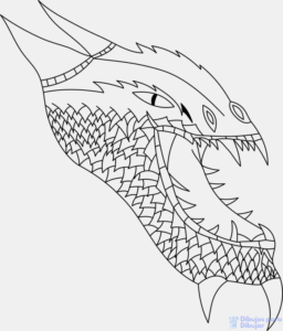 Imagenes de dragones para colorear
