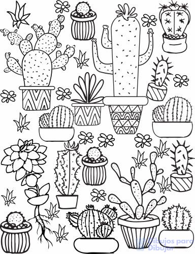 cactus para pintar