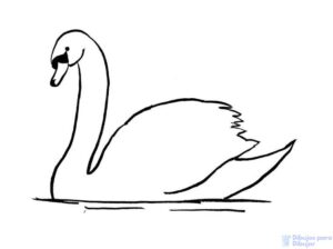 cisne animado