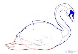 cisne para pintar