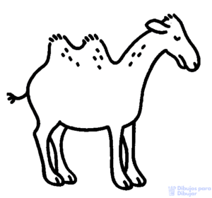 como dibujar un camello facil para niños