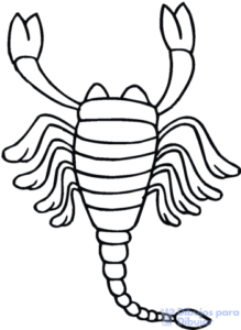 como dibujar un escorpion facil