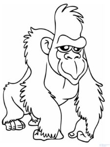 como dibujar un gorila facil