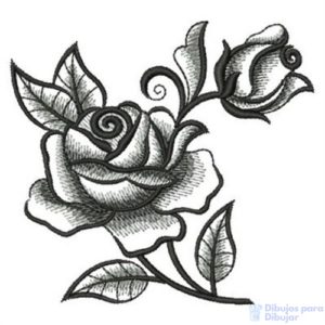 como dibujar una rosa abierta