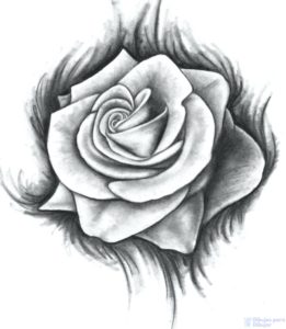 como dibujar una rosa facil