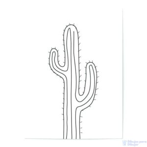 cuadros de cactus