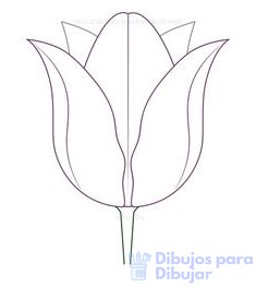 cuadros pintados con tulipanes