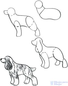 dibujo cachorro perro