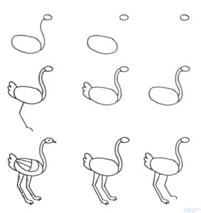 dibujo de avestruz para niños