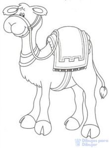 dibujo de camello para niños