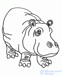 dibujo de hipopotamo para colorear