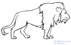 dibujo de leon infantil