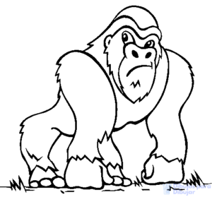 dibujo del gorila