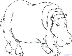 dibujo hipopotamo infantil