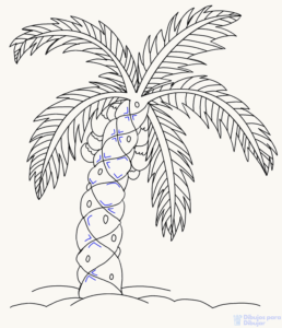 dibujo palmeras para pintar