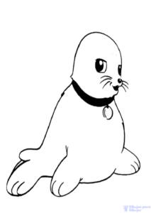 dibujos animados de focas