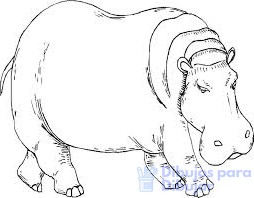 dibujos animados de hipopotamos