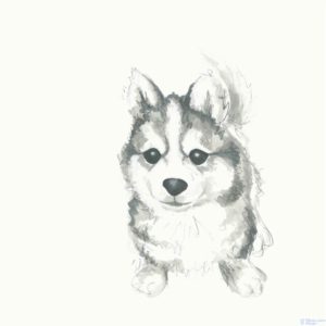dibujos de cachorros para colorear