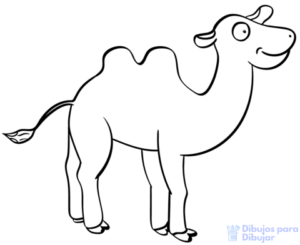 dibujos de camellos para niños