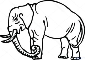 dibujos de elefantes infantiles