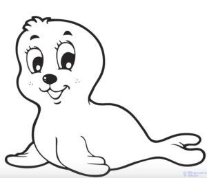dibujos de focas para niños