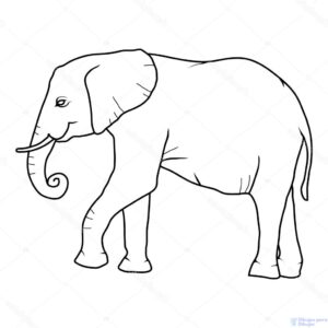 elefante para imprimir