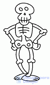 esqueleto dibujo para niños