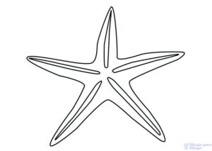 estrellas de mar dibujos