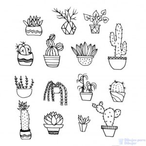 figuras de cactus