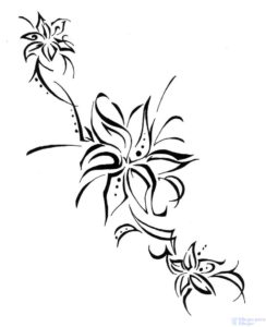 flor de lirio dibujo
