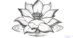 flor de loto animada