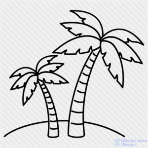 fotos de palmeras tropicales