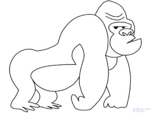 gorila para dibujar