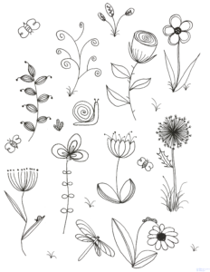 ilustracion plantas
