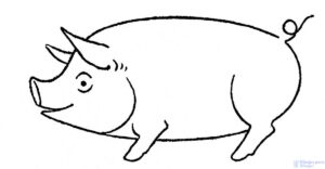 imagen cerdo