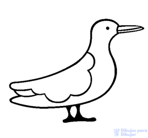 imagenes de aves para dibujar