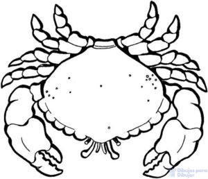 imagenes de cangrejos animados