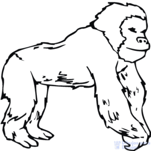imagenes de gorilas para dibujar