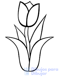 imagenes de tulipanes para colorear