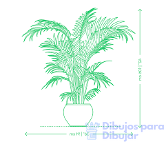 imagenes sobre las plantas