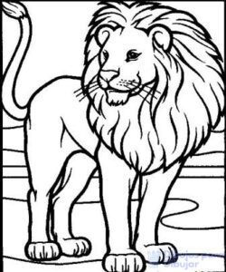 leon dibujo a lapiz