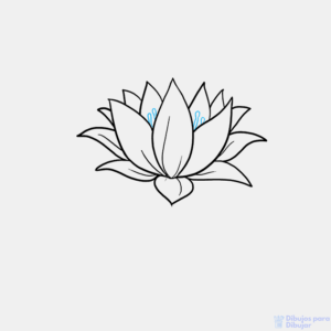 logo flor de loto